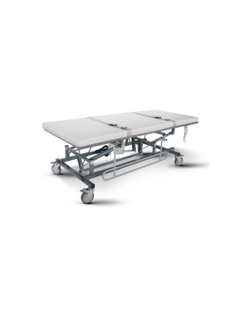 Mobile Height Adjustable Changing Table